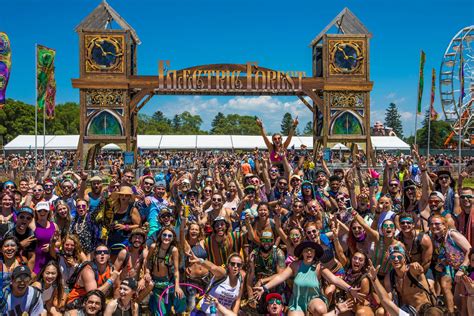 Ticket Options at Electric Forest 